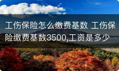 工伤保险怎么缴费基数 工伤保险缴费基数3500,工资是多少