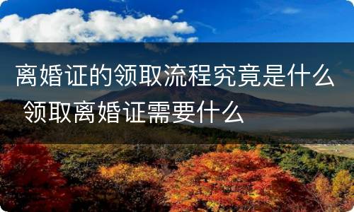 离婚证的领取流程究竟是什么 领取离婚证需要什么
