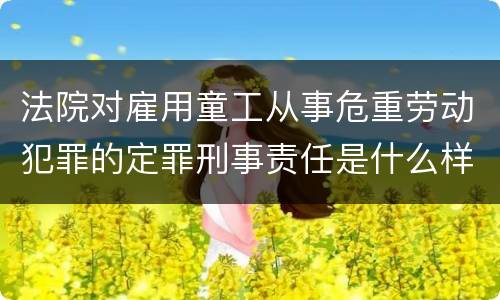 法院对雇用童工从事危重劳动犯罪的定罪刑事责任是什么样的
