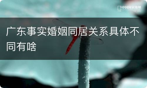广东事实婚姻同居关系具体不同有啥