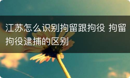 江苏怎么识别拘留跟拘役 拘留拘役逮捕的区别