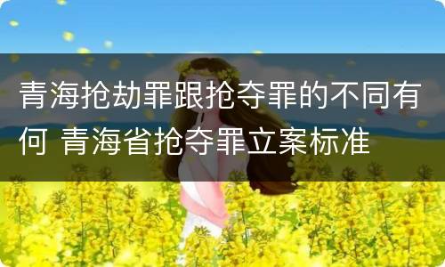 青海抢劫罪跟抢夺罪的不同有何 青海省抢夺罪立案标准