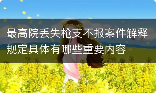 最高院丢失枪支不报案件解释规定具体有哪些重要内容