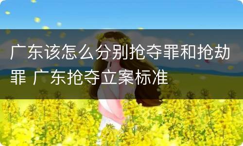 广东该怎么分别抢夺罪和抢劫罪 广东抢夺立案标准