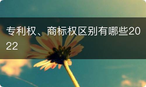 专利权、商标权区别有哪些2022
