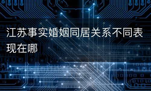 江苏事实婚姻同居关系不同表现在哪
