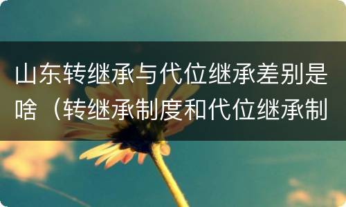 山东转继承与代位继承差别是啥（转继承制度和代位继承制度可以互相取代吗）