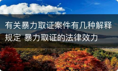 有关暴力取证案件有几种解释规定 暴力取证的法律效力