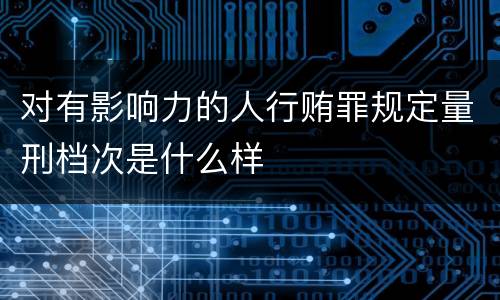 对有影响力的人行贿罪规定量刑档次是什么样