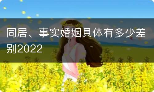 同居、事实婚姻具体有多少差别2022