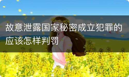 故意泄露国家秘密成立犯罪的应该怎样判罚
