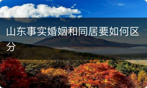 山东事实婚姻和同居要如何区分
