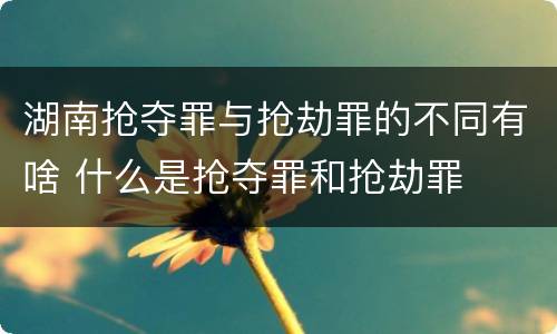 湖南抢夺罪与抢劫罪的不同有啥 什么是抢夺罪和抢劫罪