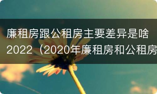 廉租房跟公租房主要差异是啥2022（2020年廉租房和公租房的区别）