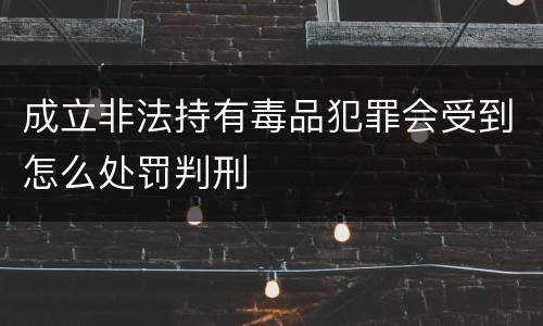 成立非法持有毒品犯罪会受到怎么处罚判刑