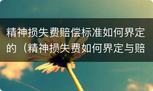 精神损失费赔偿标准如何界定的（精神损失费如何界定与赔偿）