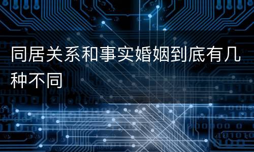 同居关系和事实婚姻到底有几种不同
