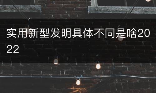 实用新型发明具体不同是啥2022