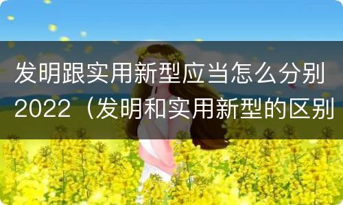 发明跟实用新型应当怎么分别2022（发明和实用新型的区别举例）
