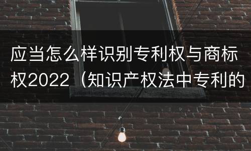 应当怎么样识别专利权与商标权2022（知识产权法中专利的概念）