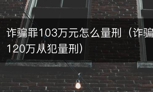 诈骗罪103万元怎么量刑（诈骗120万从犯量刑）