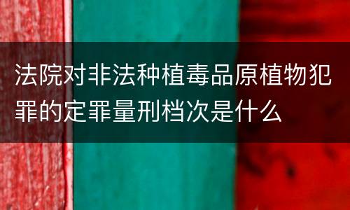 法院对非法种植毒品原植物犯罪的定罪量刑档次是什么