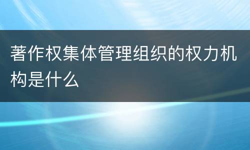 著作权集体管理组织的权力机构是什么