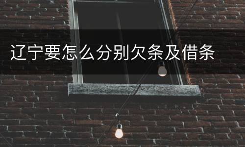 辽宁要怎么分别欠条及借条