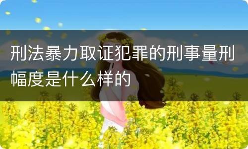 刑法暴力取证犯罪的刑事量刑幅度是什么样的
