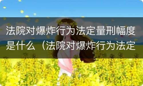 法院对爆炸行为法定量刑幅度是什么（法院对爆炸行为法定量刑幅度是什么意思）