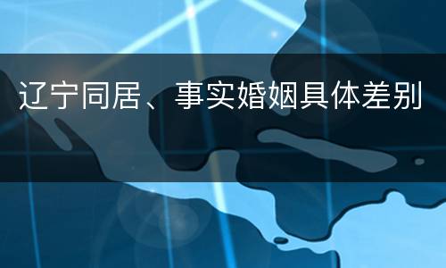 辽宁同居、事实婚姻具体差别