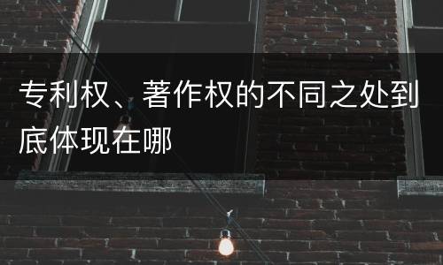 专利权、著作权的不同之处到底体现在哪