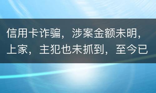 信用卡诈骗，涉案金额未明，上家，主犯也未抓到，至今已有5天，请问可以申请取保吗