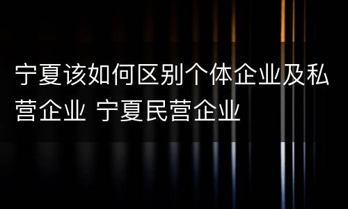 宁夏该如何区别个体企业及私营企业 宁夏民营企业