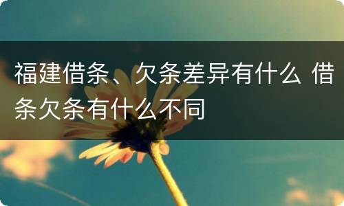 福建借条、欠条差异有什么 借条欠条有什么不同