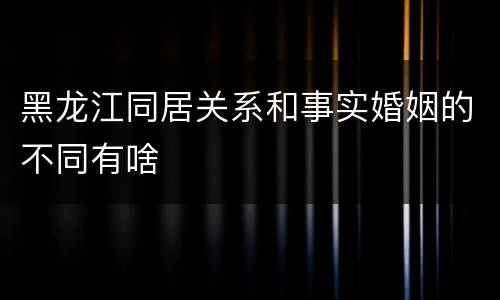 黑龙江同居关系和事实婚姻的不同有啥