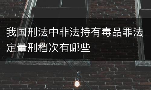 我国刑法中非法持有毒品罪法定量刑档次有哪些