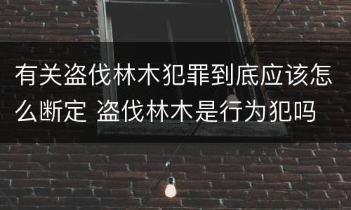有关盗伐林木犯罪到底应该怎么断定 盗伐林木是行为犯吗