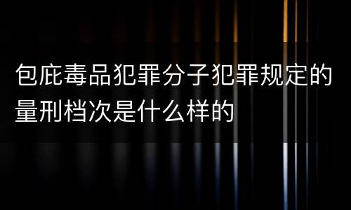 包庇毒品犯罪分子犯罪规定的量刑档次是什么样的