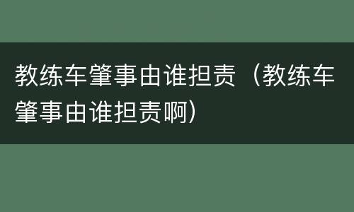 教练车肇事由谁担责（教练车肇事由谁担责啊）