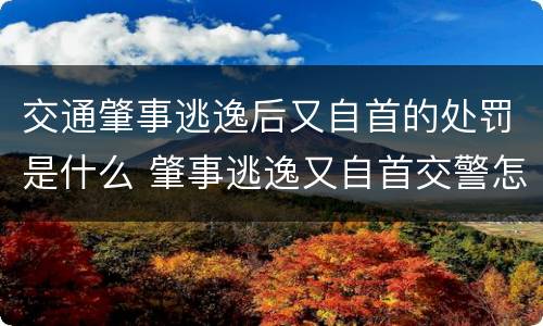 交通肇事逃逸后又自首的处罚是什么 肇事逃逸又自首交警怎么处理
