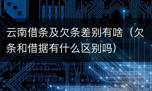 云南借条及欠条差别有啥（欠条和借据有什么区别吗）