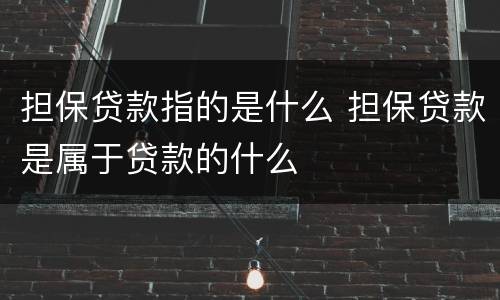 担保贷款指的是什么 担保贷款是属于贷款的什么