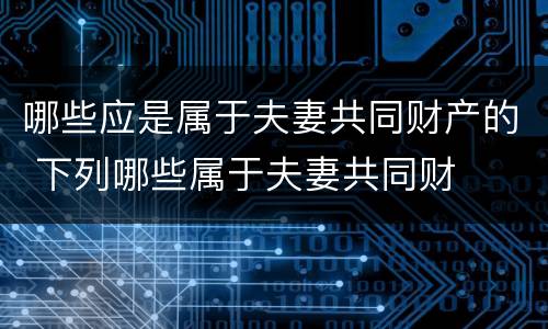 哪些应是属于夫妻共同财产的 下列哪些属于夫妻共同财