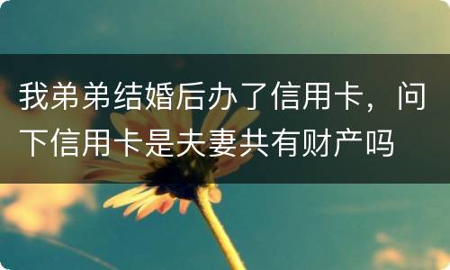 我弟弟结婚后办了信用卡，问下信用卡是夫妻共有财产吗