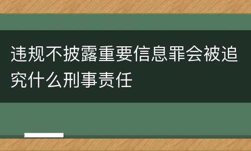 违规不披露重要信息罪会被追究什么刑事责任