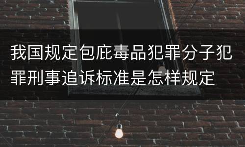 我国规定包庇毒品犯罪分子犯罪刑事追诉标准是怎样规定