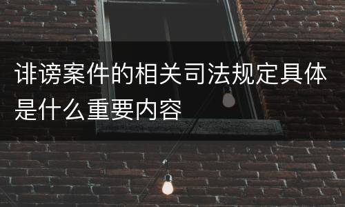 诽谤案件的相关司法规定具体是什么重要内容