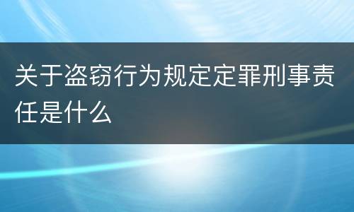 关于盗窃行为规定定罪刑事责任是什么