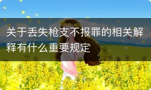 关于丢失枪支不报罪的相关解释有什么重要规定